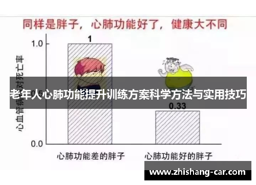 老年人心肺功能提升训练方案科学方法与实用技巧