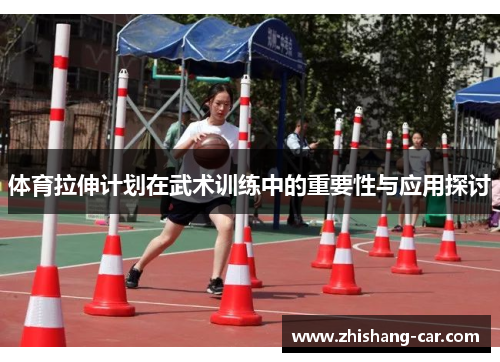体育拉伸计划在武术训练中的重要性与应用探讨