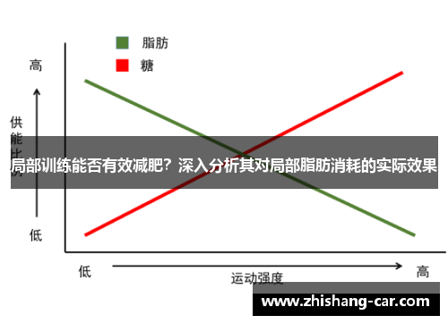 局部训练能否有效减肥？深入分析其对局部脂肪消耗的实际效果