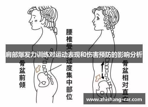 肩部爆发力训练对运动表现和伤害预防的影响分析